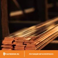 Полоса бронзовая 1х200 мм БрОФ6.5-0.15 ГОСТ 1761-92