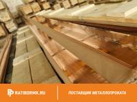 Шина медная 35х10 мм ШМТ ГОСТ 434-78